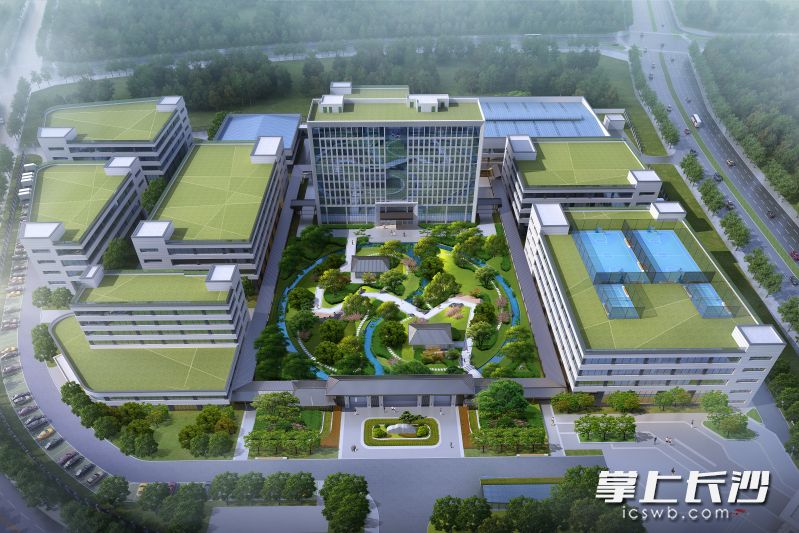 中声海洋总部效果图。受访者供图 中声海洋总部效果图。受访者供图