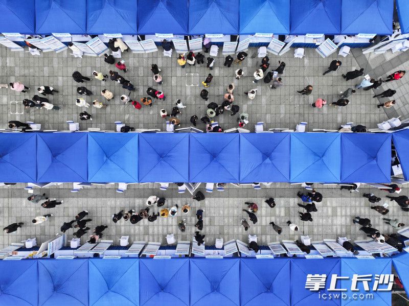 望城区2026年春风行动专场招聘会在龙湖天街举行。图片均为长沙晚报全媒体记者 邹麟 摄