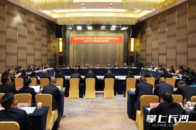 2月5日下午，省十四届人大四次会议长沙市代表团举行第六次全体会议。 长沙晚报全媒体记者 郭雨滴 摄