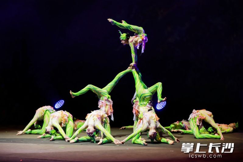 集体柔术《春之韵》节目现场。