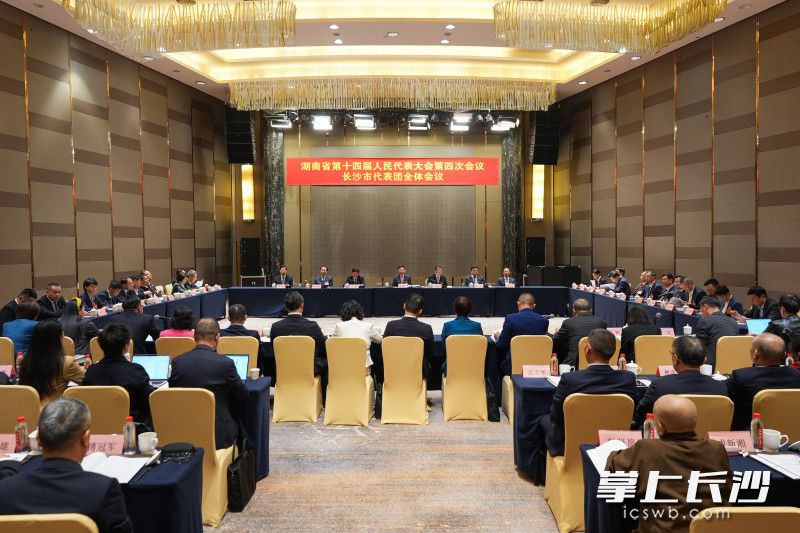 2月6日上午，省十四届人大四次会议长沙市代表团举行第七次全体会议。 长沙晚报全媒体记者 郭雨滴 摄