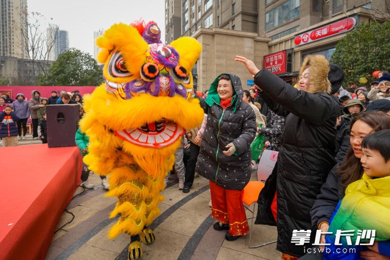 舞狮表演让现场充满了浓浓年味。 均为全媒体记者 陈飞 摄