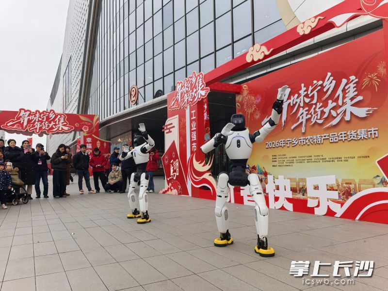 市民游客观看机器人表演。