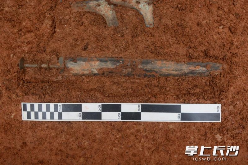 考古工地发现铜剑。