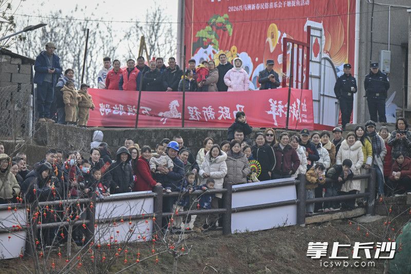 抓鱼现场热闹非凡。