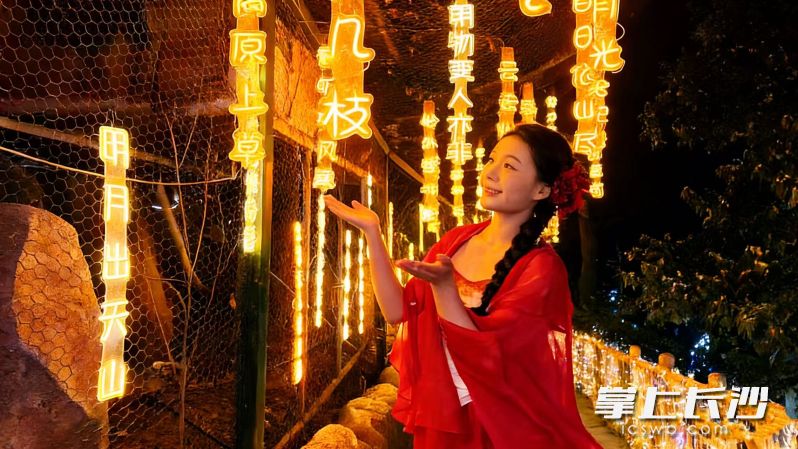 随手一拍都是大片。