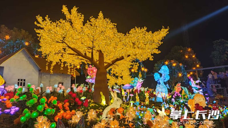 美轮美奂的彩灯。