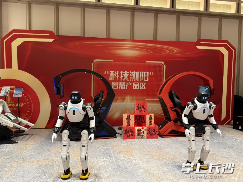 机器人登场。 长沙晚报全媒体记者 朱泽寰 摄