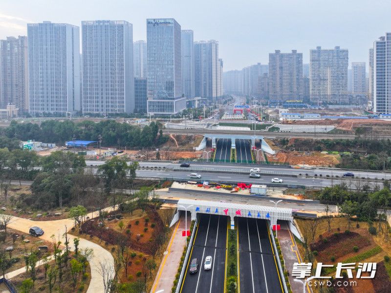 银杉路通车现场。