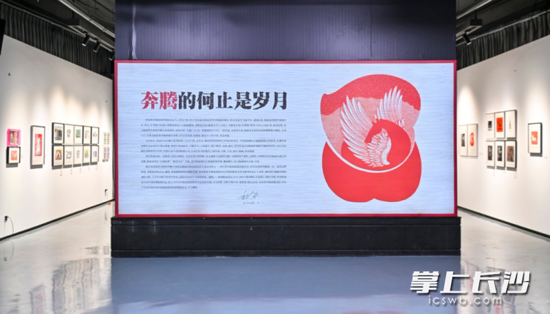 年画特展一隅。