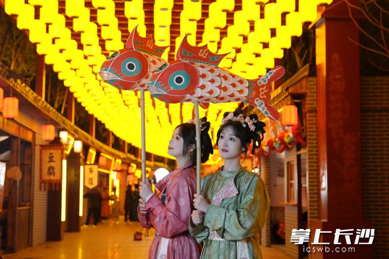 鱼灯点亮。