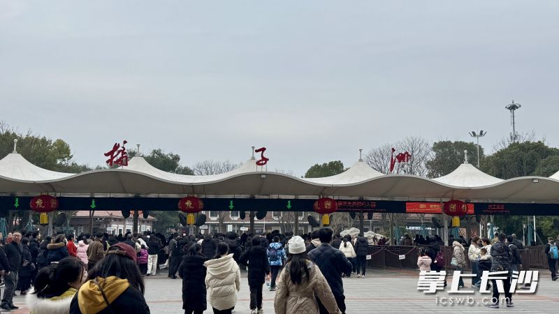 橘子洲头景区入口处，市民游客络绎不绝。 均为长沙晚报全媒体记者佘倩文摄