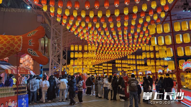 园内市民游客往来不绝。