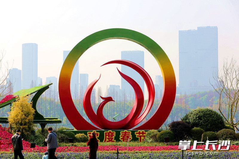 “凤凰展翅”钢结构雕塑翻新亮相。 均为长沙晚报全媒体记者贺文兵摄