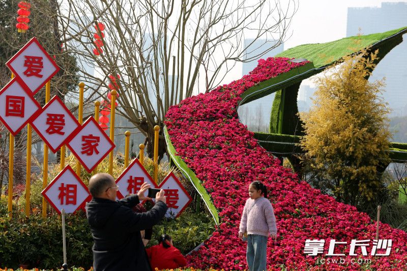 “弹钢琴”温情雅致，传递人文温度。