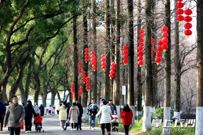 春节长假首日，烈士公园游人如织。 均为长沙晚报全媒体记者贺文兵摄