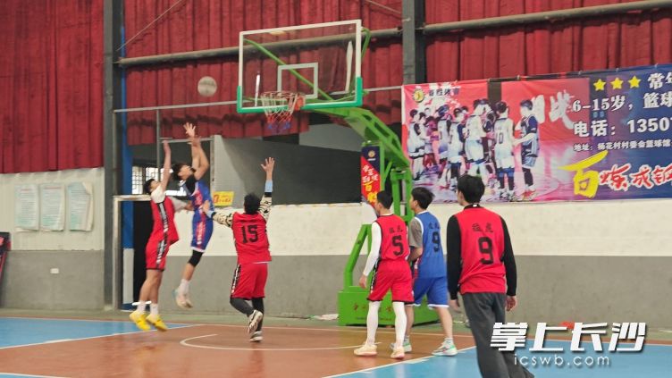 最终猛虎队斩获冠军。