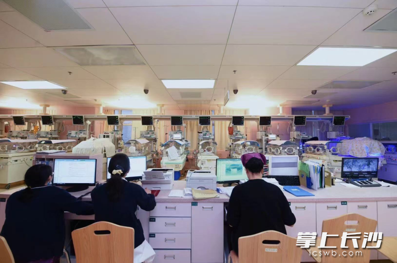 春节期间，湘雅医院NICU的医护人员用专业与温暖，为新生命保驾护航，让“在岗”成为春节最动人的“年味”。长沙晚报通讯员 段敏 汪泉佺 摄