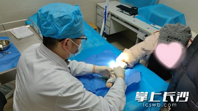 浏城桥院区动物致伤中心医生为患者处理伤口。