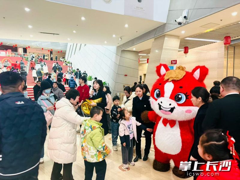 春节假期，长沙市博物馆人气持续高涨。