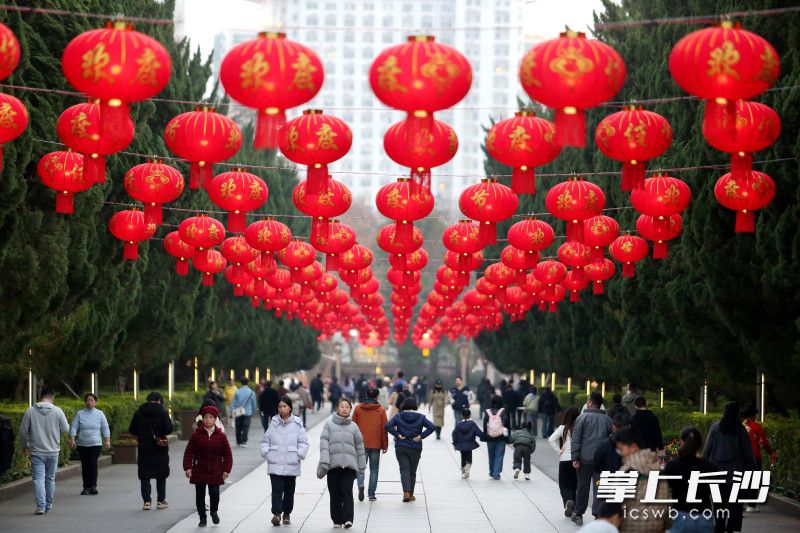 晴好天气与浓厚年味叠加，游公园成为主流选择。