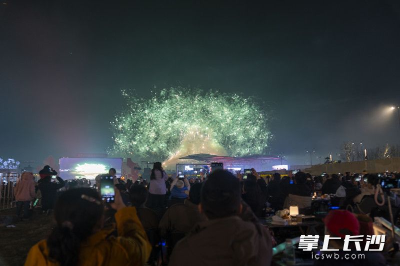 世运会同款“生命之树”，一株巨大的“生命之树”破土而出，绿色的光点如星雨飘落。