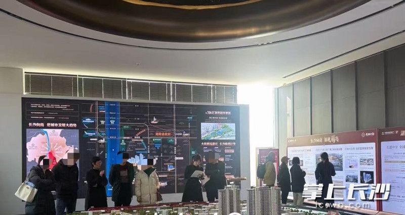 春节假期天心楼盘看房现场。 均为长沙晚报通讯员付中柱供图