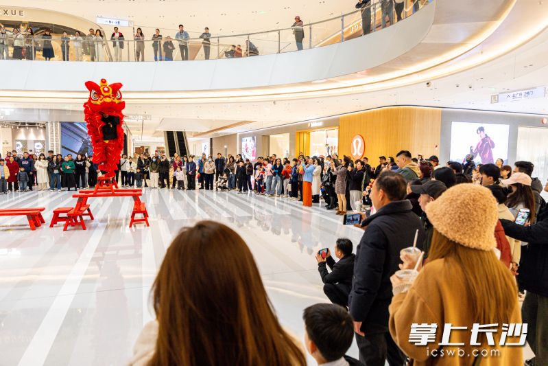 正月初五,万象城舞狮迎春活动热闹非凡。 正月初五,万象城舞狮迎春活动热闹非凡。