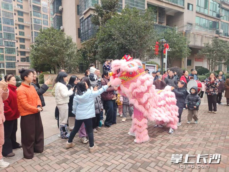 “幸福宁乡欢乐过大年”春节系列文化活动将欢乐送到市民家门口。