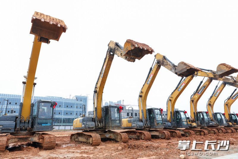 金霞微型显示产业园蓄势待发。