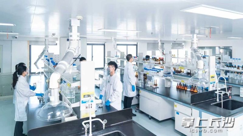 湖南九典制药股份有限公司实验室里，研发人员正全神贯注进行药物分析。
