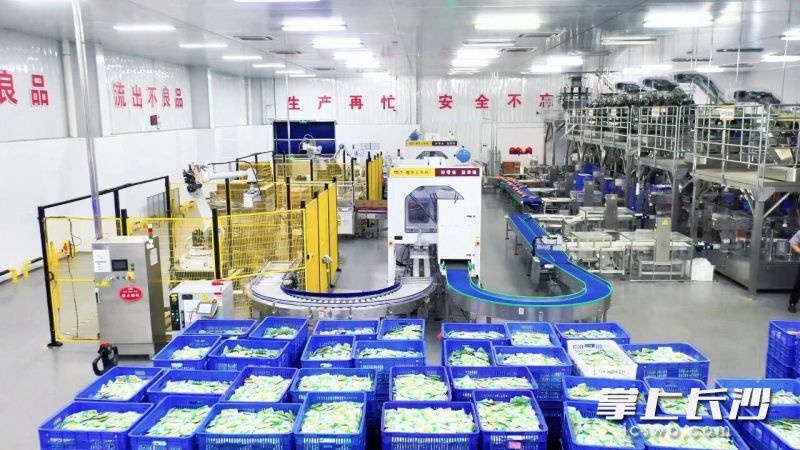 盐津铺子工厂内，产线马力全开。 均为长沙晚报通讯员晏琼供图