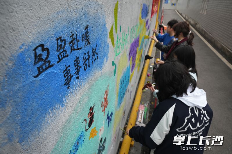 25日下午,雅礼中学旁边的一条无名小巷内,4名中学生正在水泥墙面上进行彩绘。均为长沙晚报全媒体记者林暘摄 25日下午,雅礼中学旁边的一条无名小巷内,4名中学生正在水泥墙面上进行彩绘。均为长沙晚报全媒体记者林暘摄