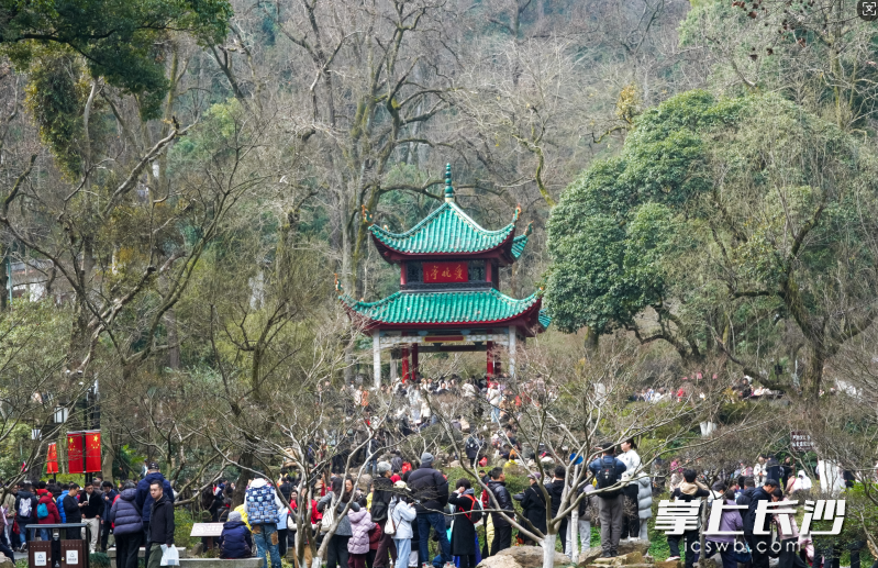岳麓山人流如织。