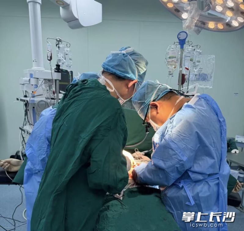 长沙市第四医院多学科团队迎难而上，快速制定个性化手术方案，为患者实施紧急剖腹探查术。 长沙晚报通讯员 黄滔滔 供图