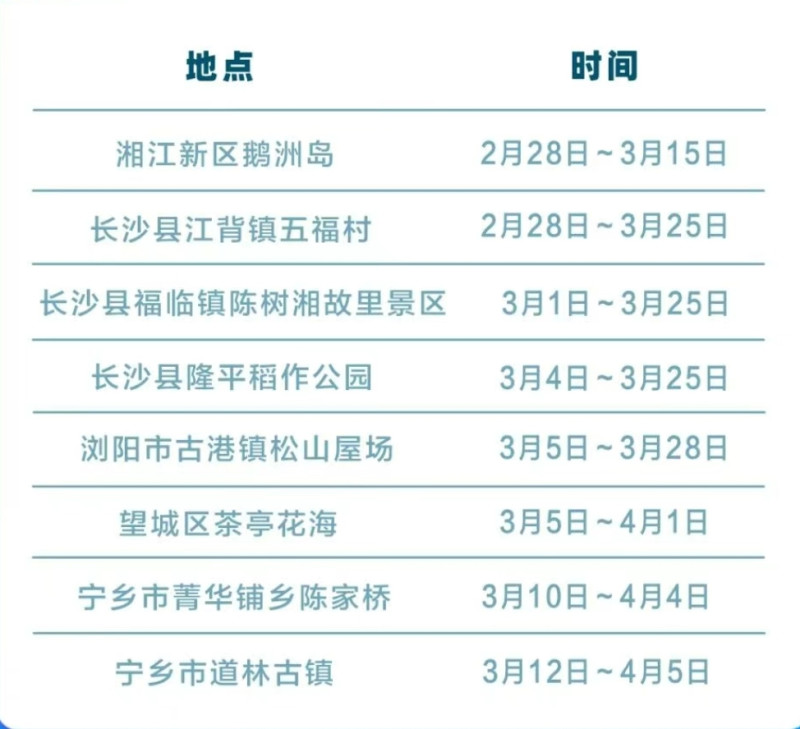 长沙部分地区油菜花最佳观赏期