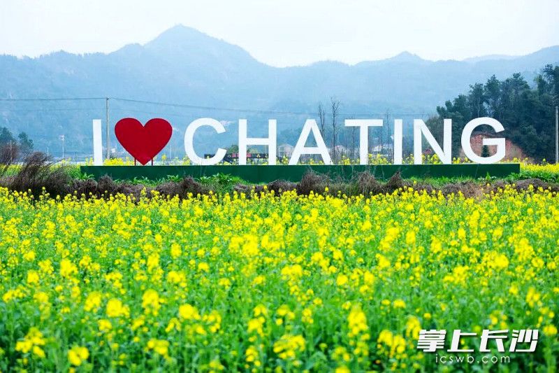 春有约,花不误。 春有约,花不误。