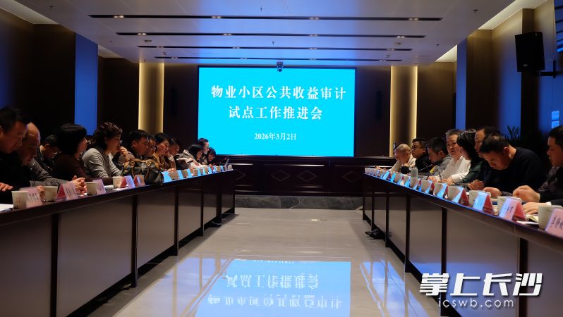 3月2日,物业小区公共收益审计试点工作推进会议召开。 均为长沙晚报全媒体记者刘嘉摄 3月2日,物业小区公共收益审计试点工作推进会议召开。 均为长沙晚报全媒体记者刘嘉摄