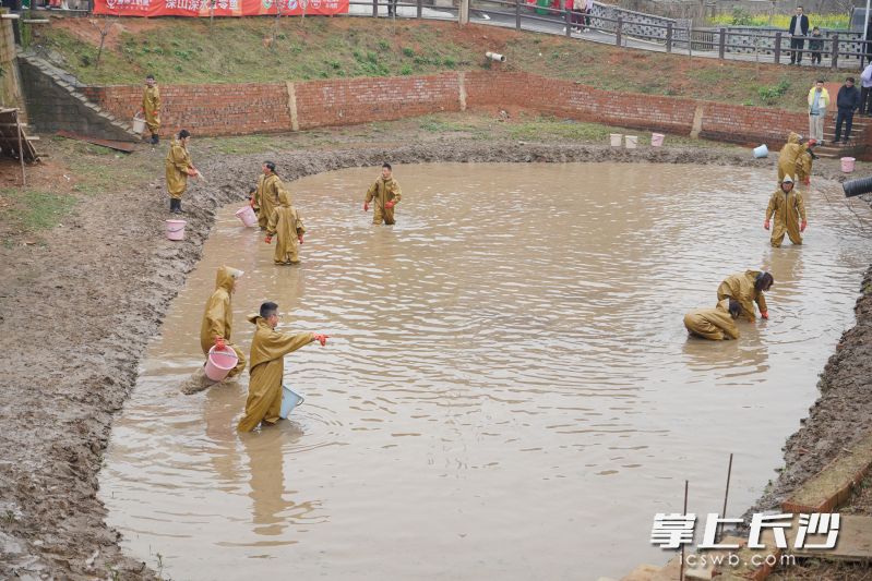 干塘摸鱼。 干塘摸鱼。