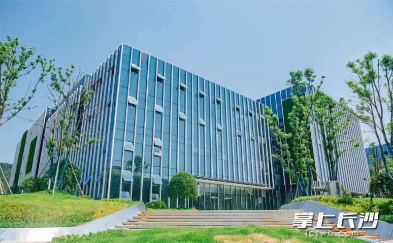 2025年12月30日,湘江科技创新院在湘江创智园C1栋正式揭牌。 长沙晚报通讯员谢璐莎 供图 2025年12月30日,湘江科技创新院在湘江创智园C1栋正式揭牌。 长沙晚报通讯员谢璐莎 供图