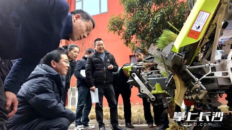 集中观摩。均为长沙晚报全媒体记者 贺文兵 通讯员 刘旖昀 摄影报道