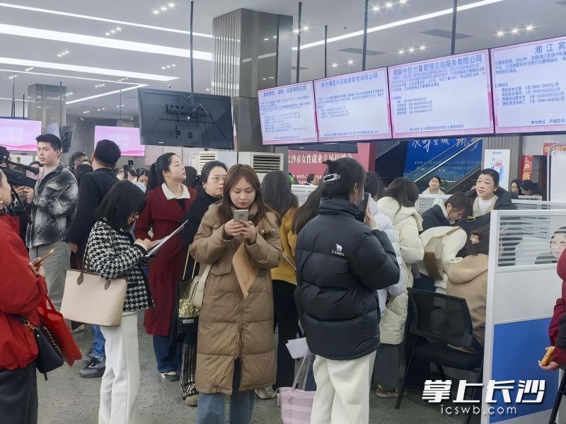 4日，“聚才星城 筑梦长沙”2026年长沙市女性就业专场招聘会在长沙市人力资源市场火热开启。