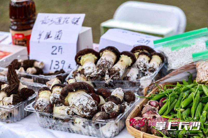 现场展示售卖的特色农产品。