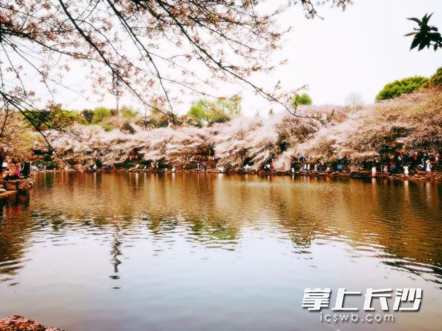 10日至13日,多云或晴天成为主角,市民朋友可以提前做好升温后的出行准备。 长沙晚报全媒体记者 舒元臻 摄 10日至13日,多云或晴天成为主角,市民朋友可以提前做好升温后的出行准备。 长沙晚报全媒体记者 舒元臻 摄