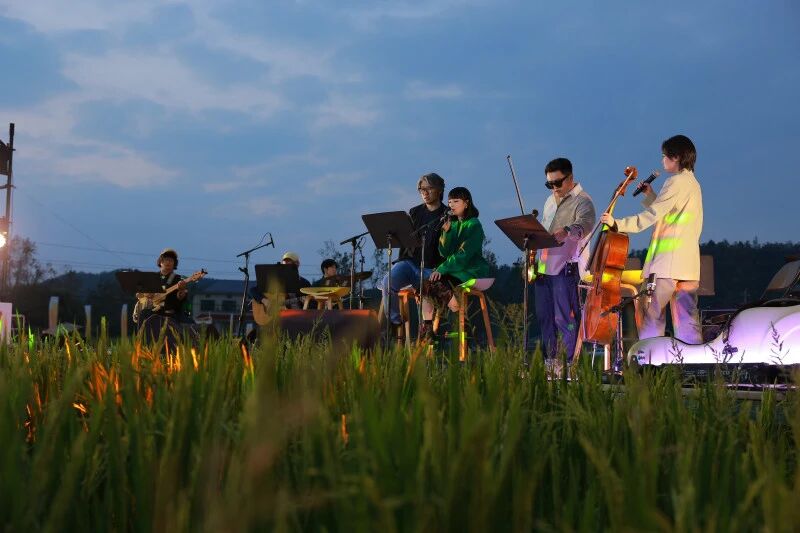 产业兴旺、生态宜居、乡风文明、治理有效、生活富裕的泉水湖村，稻花香里听丰年。罗杨 摄