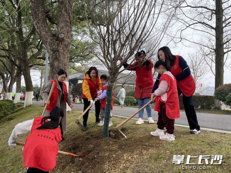 亲子家庭在植树。均为公园供图