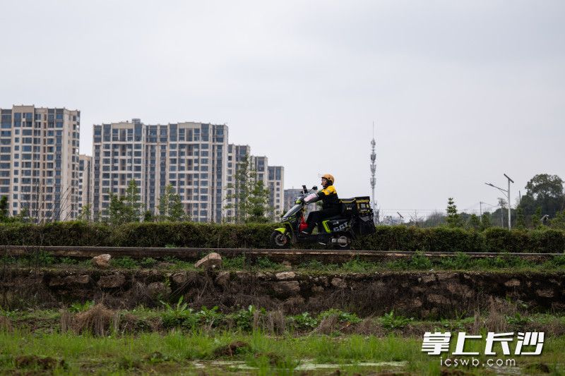 跑单没有固定的线路，几次在城郊附近，被几只狗追着跑，现在说起她还有些害怕。