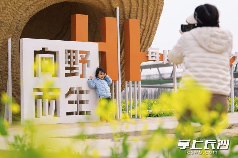 市民游客在大泽湖近自然湿地公园的油菜花海里拍照打卡。均为长沙晚报全媒体记者 郭雨滴 摄