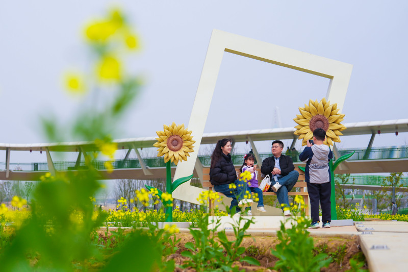 市民游客在花海里拍照打卡。