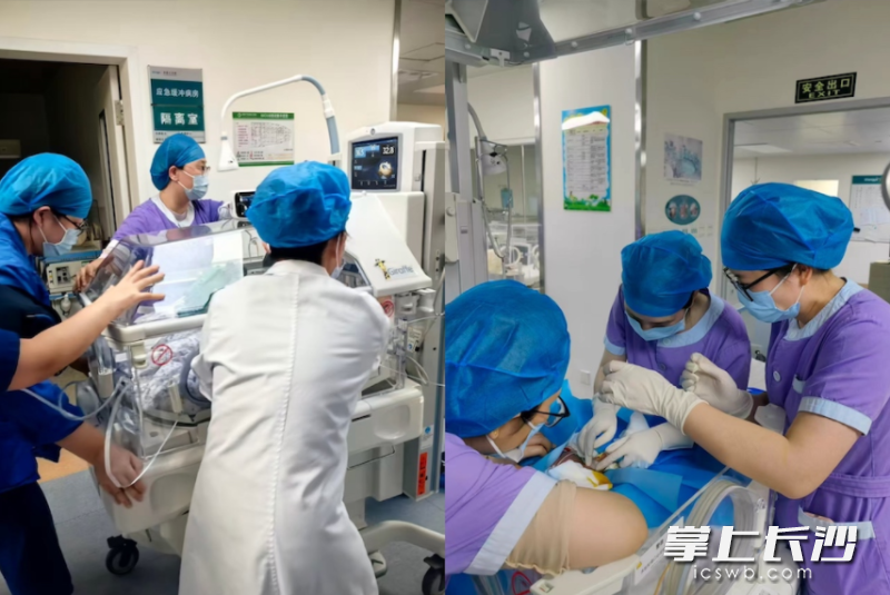 去年10月22日，中南大学湘雅三医院新生儿重症监护病区医护人员紧急抢救出生胎龄仅22+1周、体重不足500克的“小小”宝宝。 均为通讯员供图